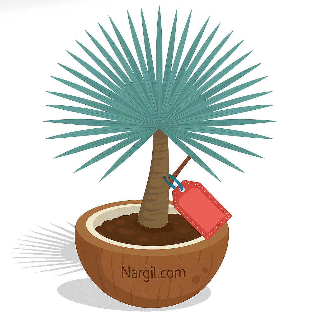  Nargil - Yucca rostrata